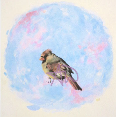 Greeting Card (Cardinal Dream)