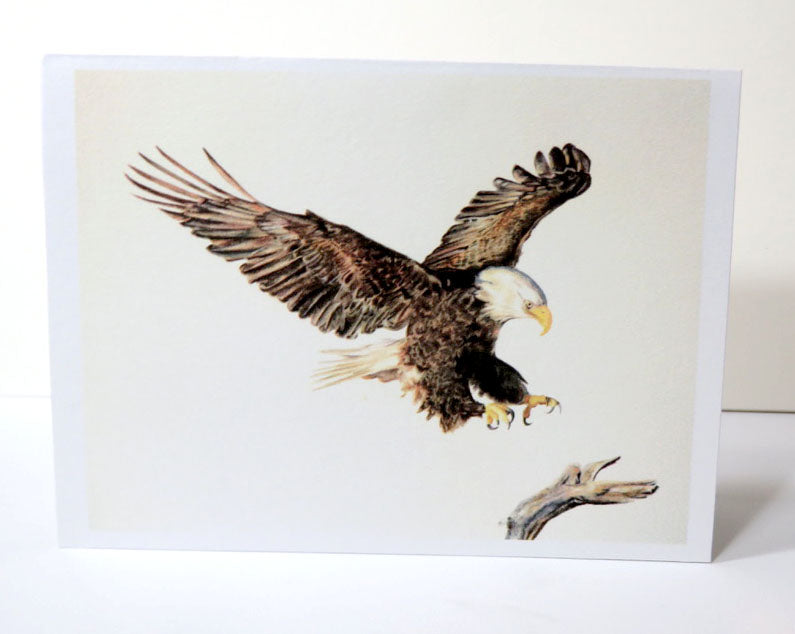 Greeting Card (Eagle Story)