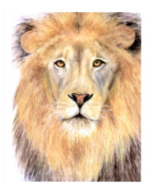 Greeting Card (Lion Story)