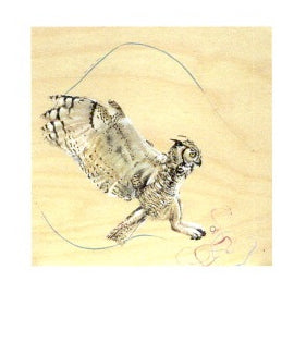 Greeting Card (Owl Flight)